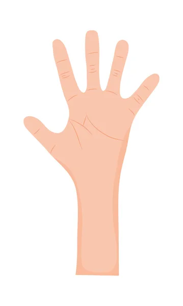 人类的手掌 — 图库矢量图片