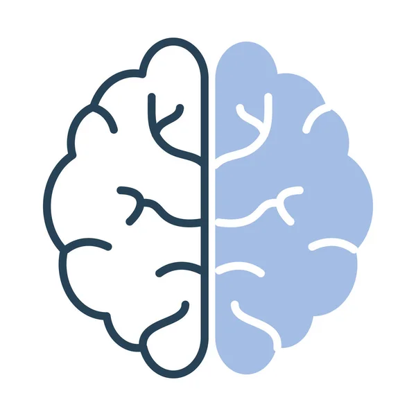 Menselijk brein icoon — Stockvector