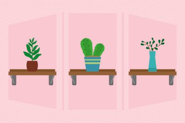 decorative plant pots