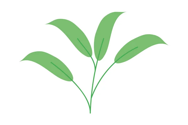 Rama de hojas verdes — Vector de stock