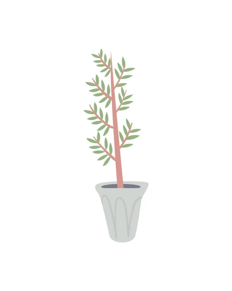 Pflanze im weißen Topf — Stockvektor