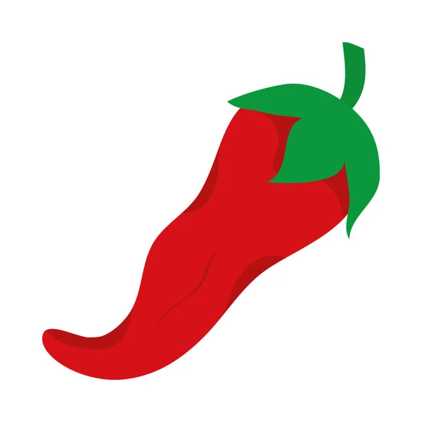 Rotes Chilidesign — Stockvektor