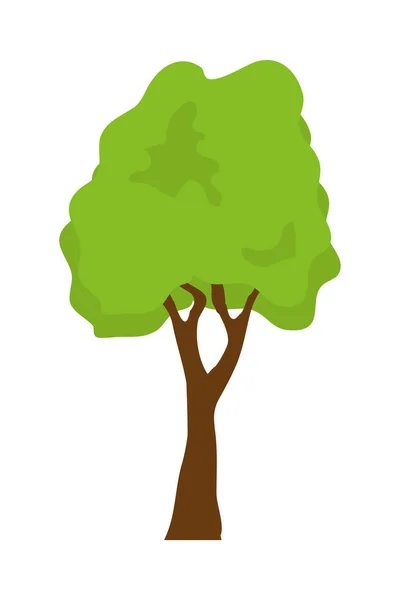 背の高い木のアイコン — ストックベクタ