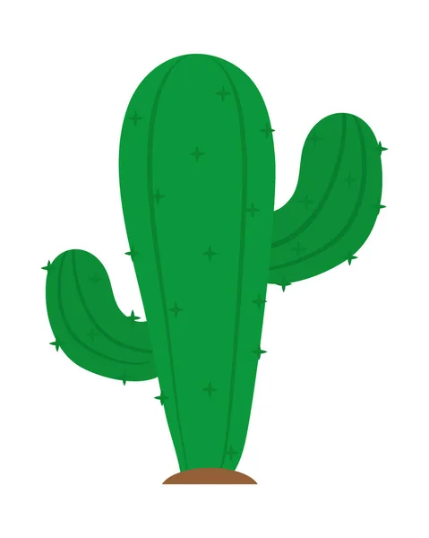 Design de cactus vert — Image vectorielle