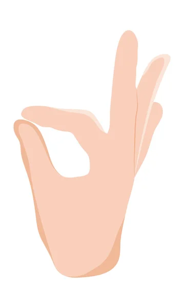 Main avec le geste ok — Image vectorielle