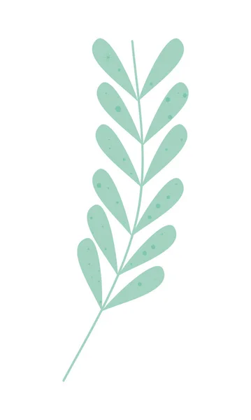 Tige avec feuilles — Image vectorielle