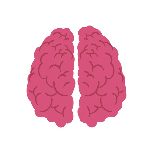 Ροζ εικονίδιο εγκεφάλου — Διανυσματικό Αρχείο