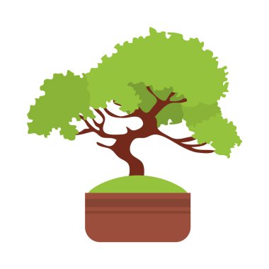 bonsai bitki simgesi