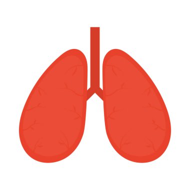 akciğer simgesi resmi