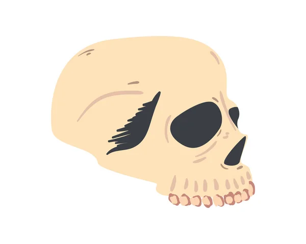 Crâne mystique ésotérique — Image vectorielle