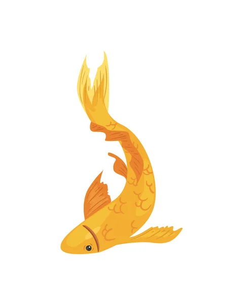 Koi ryba zlaté barvy — Stockový vektor