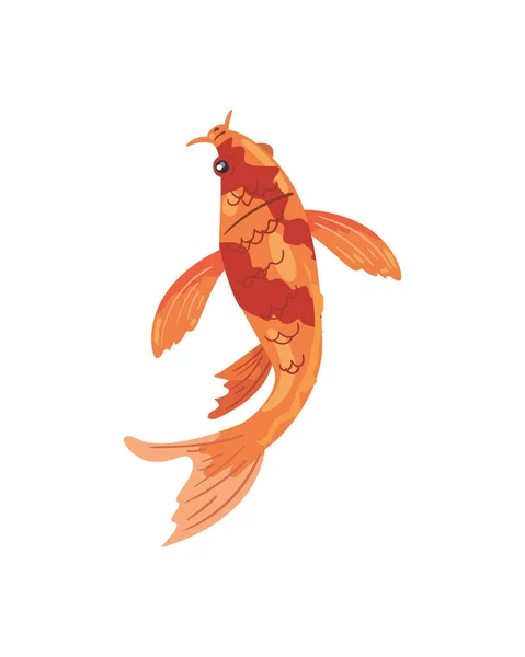 Кои рыбы оранжевого и красного цвета — стоковый вектор