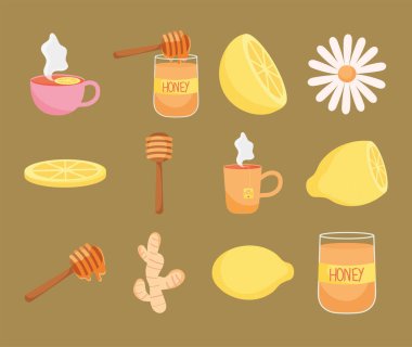 ev tedavisi simgesi seti