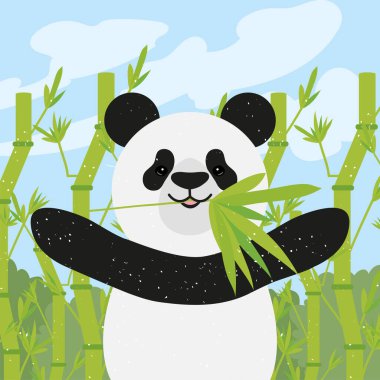 bambu ile ayı Panda