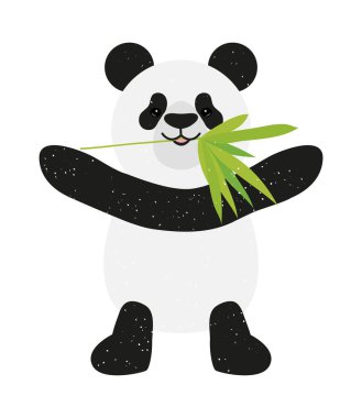 bambu ile ayı Panda