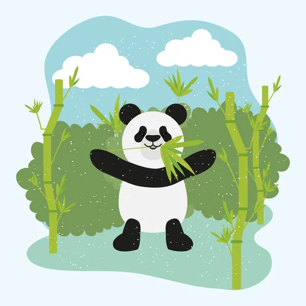 Pandabär und Bambus — Stockvektor