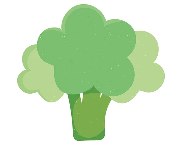 Broccoli vegetable icon — Stock Vector