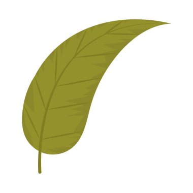büyük yaprak simgesi