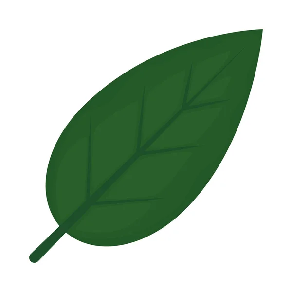 Icône feuille verte — Image vectorielle