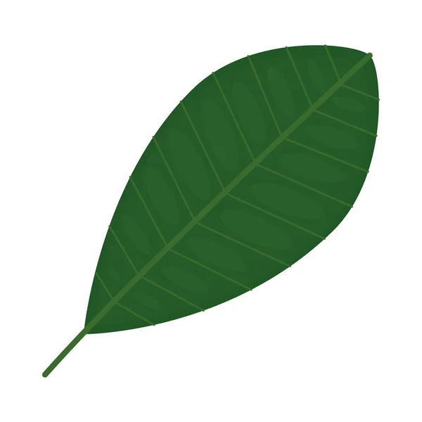 Icono de hoja redonda — Vector de stock