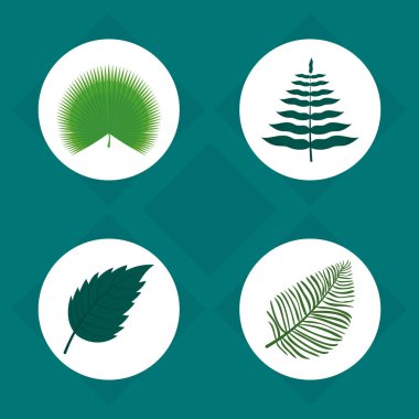 Simge koleksiyonunu bırakır