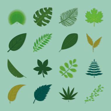 tropik yaprak simgesi koleksiyonu