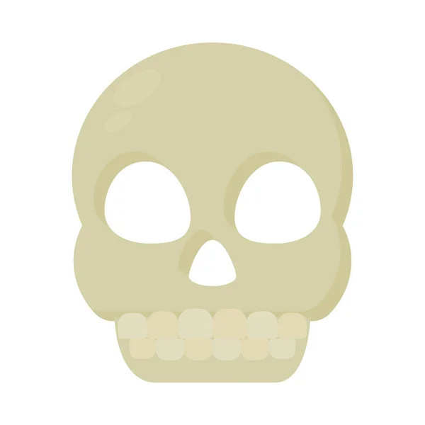 Skull icon image — Stock Vector