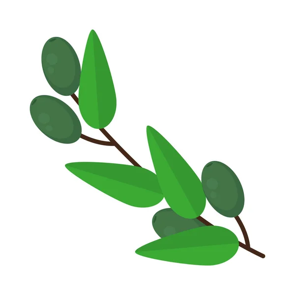 Icono de rama de aceitunas — Vector de stock