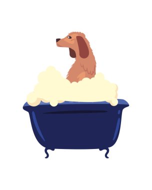 köpek yıkama karakteri