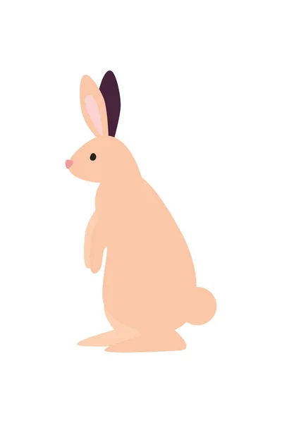 Pink rabbit standing — Stock Vector