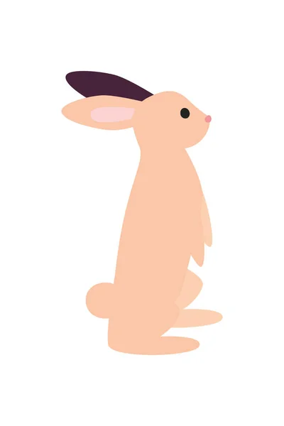 Duran pembe tavşan — Stok Vektör