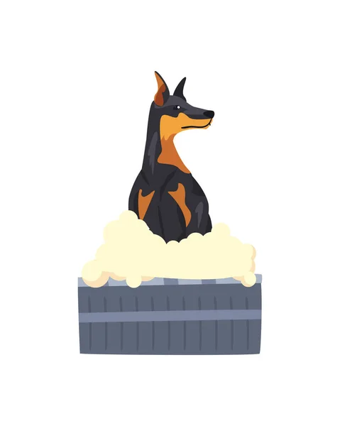 Doberman hond baden — Stockvector