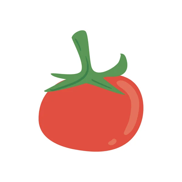 Frisches Tomatengemüse — Stockvektor