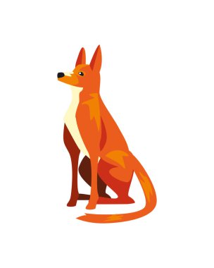 Şirin köpek oturmuş.