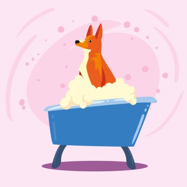 Mavi küvette banyo yapan köpek yavrusu.