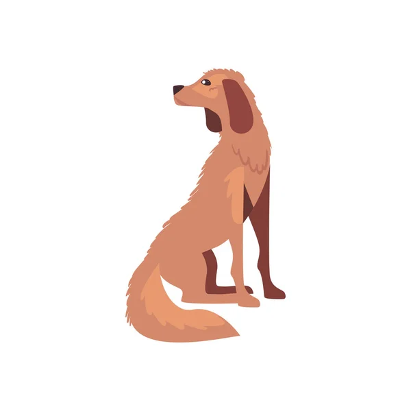 Perro mascota marrón — Vector de stock