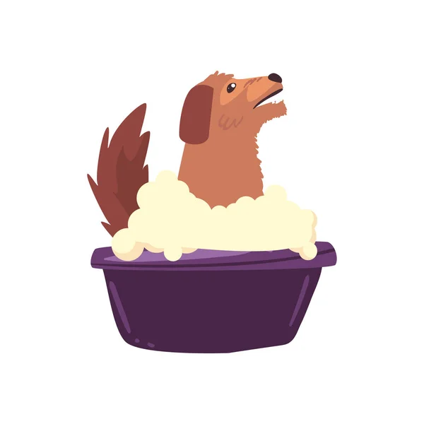 Marrón perro baño — Vector de stock