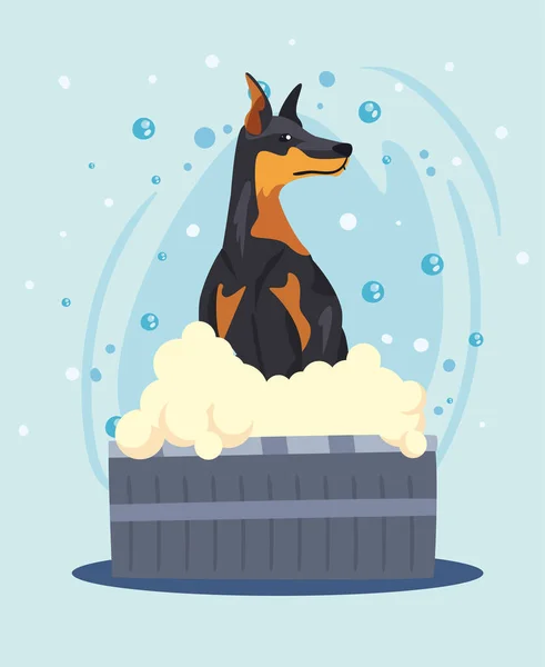 Doberman pies kąpiel scena — Wektor stockowy
