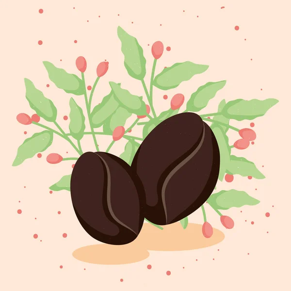 咖啡豆加植物 — 图库矢量图片