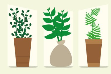 Kapalı alandaki bitkiler.