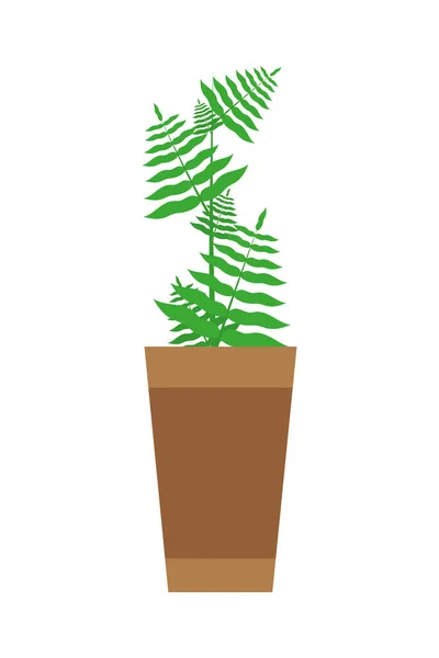 Тропическое растение в горшке — стоковый вектор