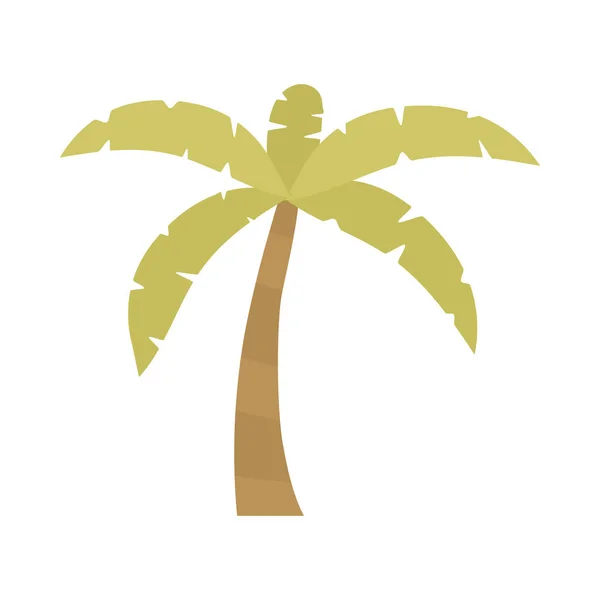 Icono de palma tropical — Vector de stock