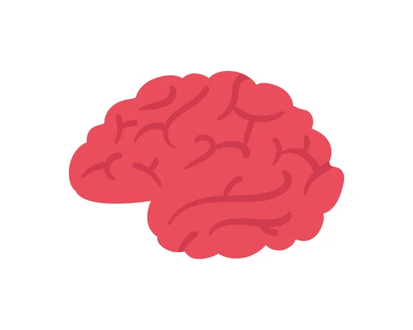 Pink brain icon — Stock Vector