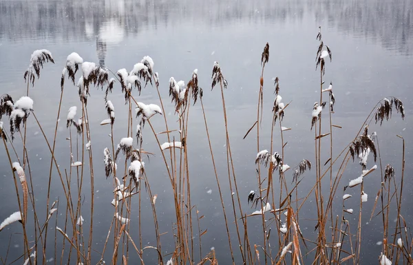 Ausgebluteter See — Stockfoto