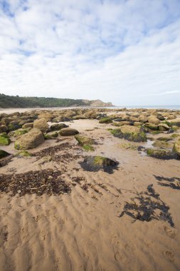 Dokulu kum, kaya ve seawead doğal kıyı görüntü