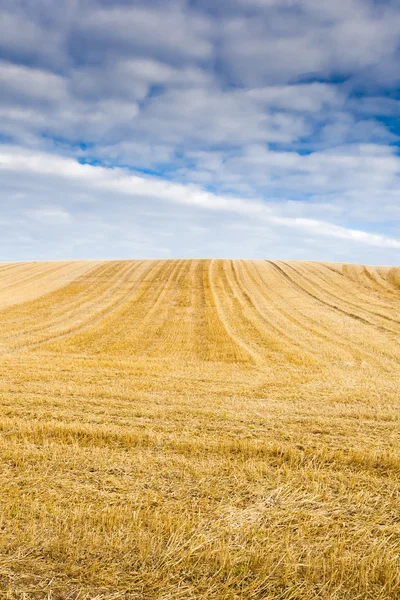 Harvested stubble fields with blue sky and clouds — Stock Photo, Image