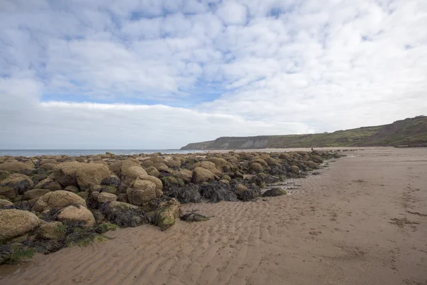 Huellas en el paisaje marino de arena —  Fotos de Stock