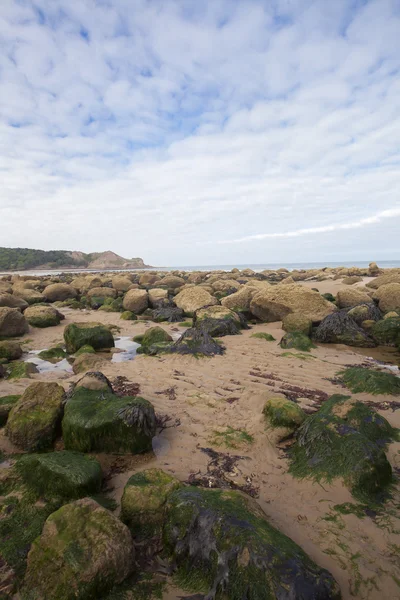 Natural coastal environment image — Stock Photo, Image