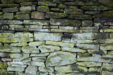 Eski yeşil taş duvar arka plan