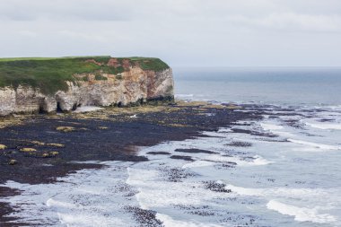 Cliffs at Flamborough denize bakan Head